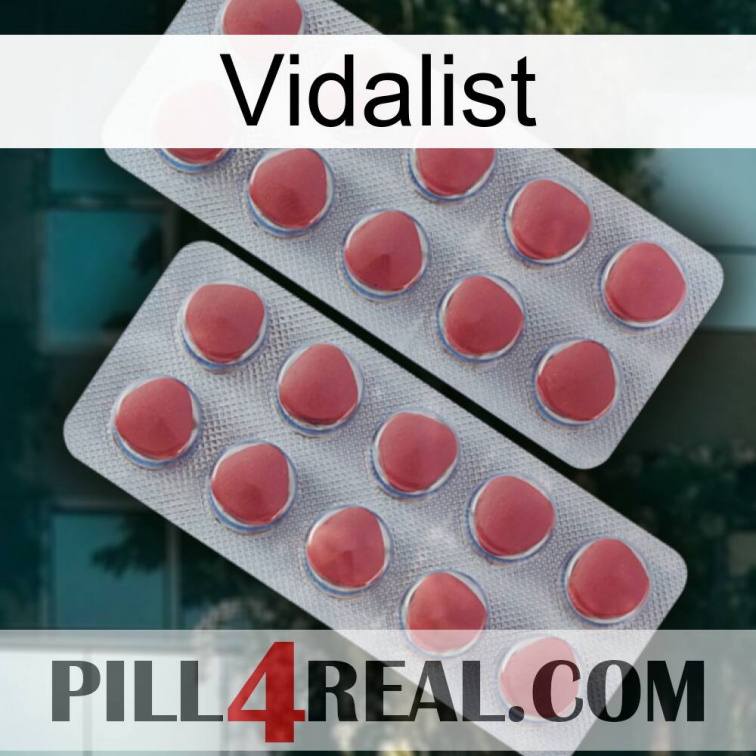 Vidalist 19